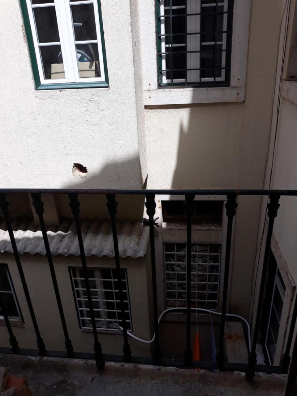 Lisbon Design Hostel Εξωτερικό φωτογραφία